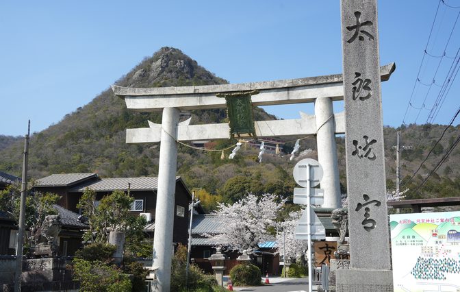 太郎坊宮の鳥居と桜