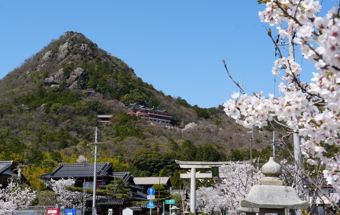 桜が咲く風景
